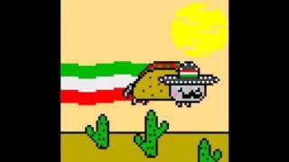 TacoCatMexican Nyan Cat 10 hours [upl. by Anelav]