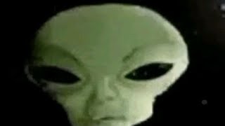 Alien memes  New creature discovered  zub zib zab zab [upl. by Aldas]