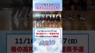 春高バレー2024県予選に向けて🏐 [upl. by Gambell721]