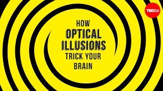 How optical illusions trick your brain  Nathan S Jacobs [upl. by Eslud]