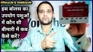 OflokindOZ BolusOfloxacin amp Ornidazole Use in Animalsपशुओं को कौन सी बीमारी में कब कैसे दें [upl. by Cotter]