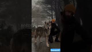 Wolf Life motivationspeech ytshorts youtubeshorts inspiration lifelessons [upl. by Vic]