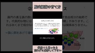 【腸内細菌の育て方】プロバイオティクス、プレバイオティクス、バイオジェニックスについて [upl. by Verras]