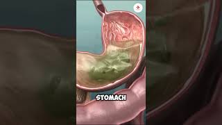 Get Rid of Mucus in Your Throat P01 mucus  facts health science throatinfection gerd [upl. by Yttig]