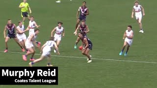 Murphy Reid  Talent League Round 3 [upl. by Aeduj367]