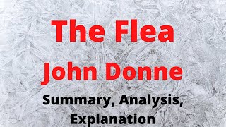 The Flea by John Donne  Summary Analysis Explanation [upl. by Yeloc]