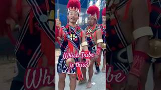 Hornbill 2024 16 Tribes One Spectacular Celebration in Nagaland [upl. by Latreece488]