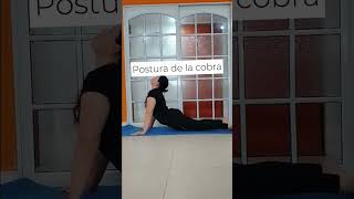 Posturas de YOGA para principiantes yoga yogatime yogatips yogaasana yogaathome [upl. by Oludoet]