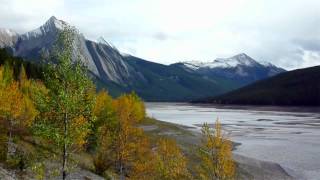 Mount Robson Inn Jasper National Park [upl. by Ramso]