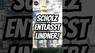 Drama in der Bundesregierung Scholz entlässt Lindner Ampel vor dem endgültigen Aus Neuwahlen [upl. by Silrak]