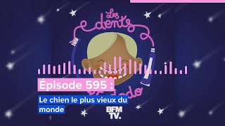 Les dents et dodo  “Épisode 595  Le chien le plus vieux du monde” [upl. by Eniamat]