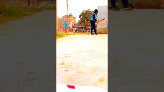 Ideal cricket Academy Dhaka [upl. by Ernst385]