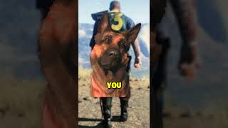 Dogmeat in 60 Seconds  Fallout Lore [upl. by Atiuqihs976]