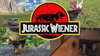 Ep 1 quotJurassic Wienerquot  Dachshund Dinosaurs [upl. by Naujek]