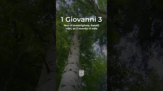 1 Giovanni 31114 bibbia biblevision [upl. by Nialb]