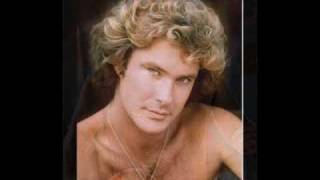 David Hasselhoff is gay [upl. by Gridley439]