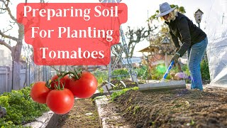 Garden Soil For Tomato Planting amp Tips [upl. by Manoff914]