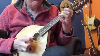 Fermoy Lasses reel mandolin [upl. by Cathi716]