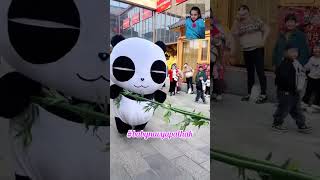 cute panda video panda shorts [upl. by Ynar]