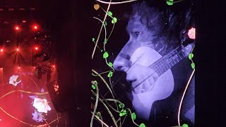 ED SHEERAN PINKPOP 2024 PART 3 [upl. by Tyika]