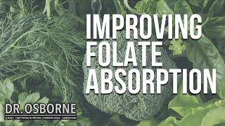 How To Improve Folate Absorption and Other Folate Questions Answered [upl. by Wina]