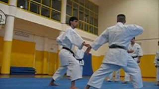 Seipai  Nuno Cardeira KATA amp BUNKAI [upl. by Gloria222]