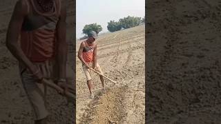 Ki yari Banate hue farmer punjabi song youtube [upl. by Aicissej161]