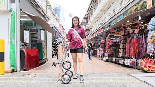 Adult Foldable Tricycle for People who Cannot Cycle CarryAll [upl. by Hallee694]