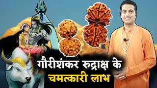 गौरीशंकर रुद्राक्ष के चमत्कारी लाभ कैसे पाये इससे मनचाही सफलता Benefits Of Gauri Shankar Rudraksha [upl. by Gibbie406]