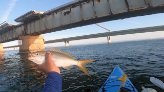 How To Fun Fish The Florida Keys Bridges [upl. by Inman378]