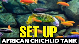 How To Setup An African Cichlid Tank 🐟 [upl. by Alyworth866]