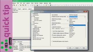 IBExpert Quick Tip Change the IBExpert interface language [upl. by Zarah775]