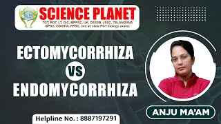 Ectomycorrhiza Vs Endomycorrhiza by Anju Mam on Science Planet [upl. by Ecyned]