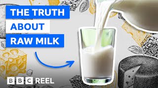 Why raw milk is banned in the US – BBC REEL [upl. by Mosenthal987]