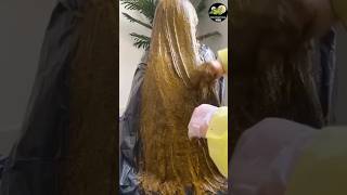 Natural Red Hair Dye Hair Colour at home Super Silky hair hairstyle hair haircare hairfall [upl. by Larimor957]