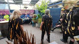 Wreckers Border Morris Impromptu 3 Jolly Sheepskins Blue Anchor Teignmouth Folk Festival 18622 [upl. by Maeve535]