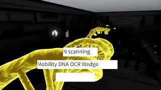 DataWedge Demo  Scan a Vehicle Identification Number VIN  Zebra Technologies [upl. by Laoj194]