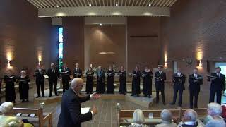 Ave Maria Anton Bruckner  Kammerkoret Coro Misto [upl. by Ahsratal791]