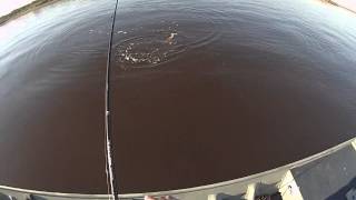 Calcasieu Lake Big Lake LouisianaPaul Brown Custom Broke Back winter 13 [upl. by Kline]