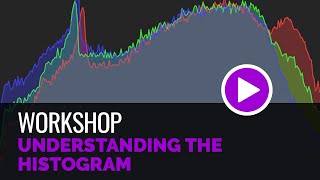 Understanding the Histogram [upl. by Ruyle]