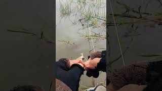 How to plug frog for fishing [upl. by Almira]