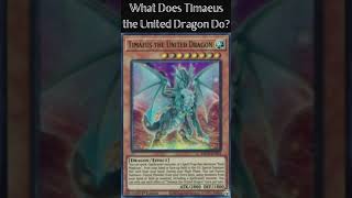 What Does Timaeus the United Dragon Do Yugioh Cards Explained for Easy Deck Building [upl. by Seuqram]