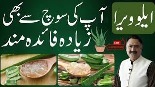 Aloe Vera Benefits  Kawar Gandal Ke Fayde  Aloe Vera Gel Face Mask Hair Growth [upl. by Belanger]