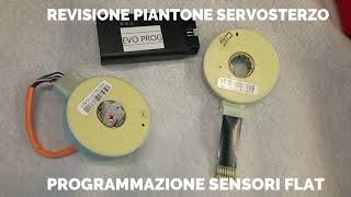 REVISIONE PIANTONE SERVOSTERZO CON SENSORE FLAT [upl. by Kester]