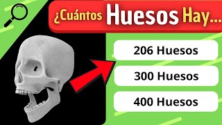 ¿Cuánto Conoces del quotCUERPO HUMANOquot 🤓🤔 Test sobre el cuerpo humano ⬅️ [upl. by Tandi]