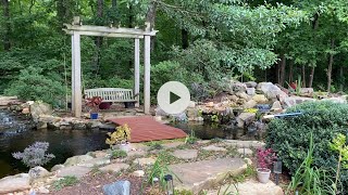 Update on the DIY Koi pond water garden Japanese maple conifer flower garden 8a￼ [upl. by Kciv]