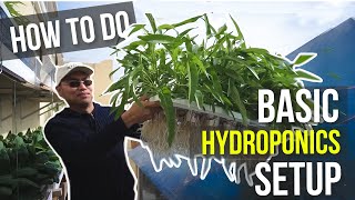 HOW TO DO HYDROPONICS  TUTORIAL FOR BEGINNERS  PAANO MAGTANIM  HOW TO DO BASIC HYDROPONICS [upl. by Johnsson]