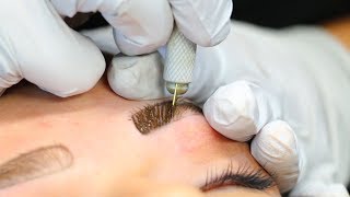 Microblading Eyebrows  Full Process  Precis Brows [upl. by Persas380]