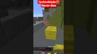 Technoblade has cancer Shorts Technoblade Cancer [upl. by Eneleh185]