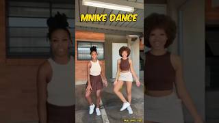 Mnike Dance Challenge [upl. by Gerger]